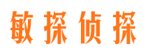 高阳市侦探公司